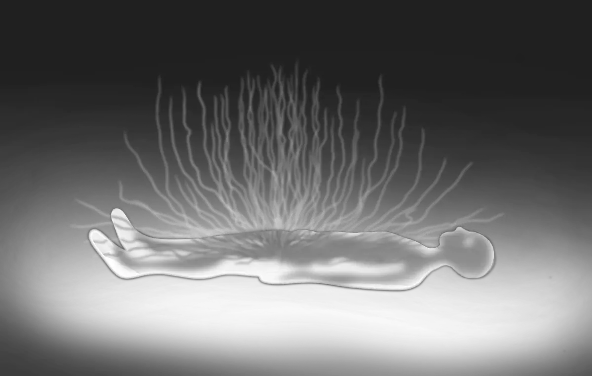 Silhouette of a person lying down with abstract shapes rising from their body, creating a dreamlike atmosphere.